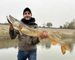Northern Pike