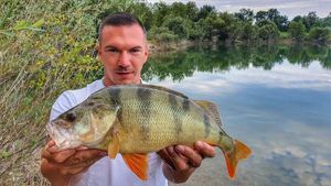 European Perch caught by greg cellard