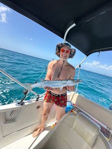 Great Barracuda