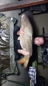 Mirror Carp