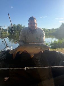 Mirror Carp