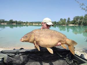 Mirror Carp