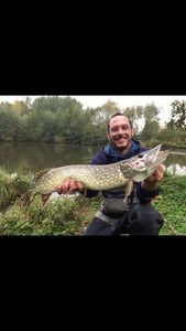 Northern Pike