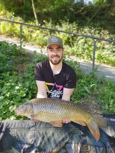 Common Carp