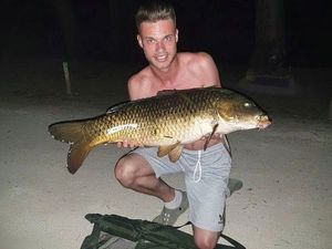 Common Carp