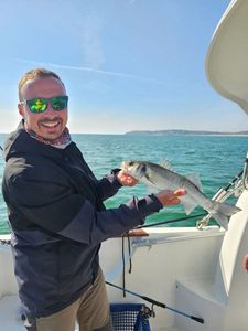 European Bass (Seabass)