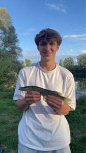 Northern Pike