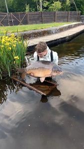 Mirror Carp