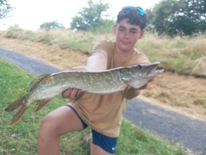 Northern Pike
