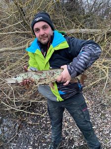 Northern Pike