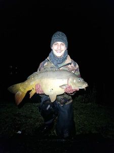 Mirror Carp
