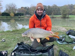 Common Carp
