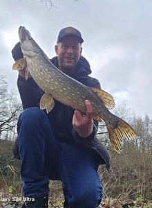 Northern Pike