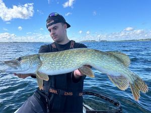 Northern Pike