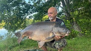 Mirror Carp