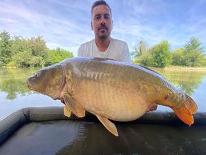 Mirror Carp