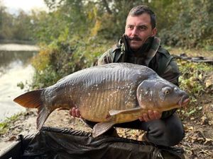 Mirror Carp