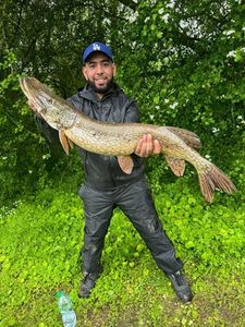 Northern Pike