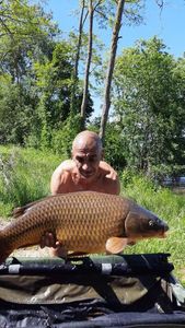Common Carp