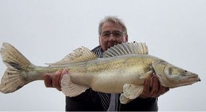 Zander