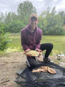 Tench