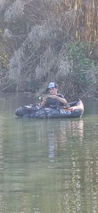 Largemouth Bass