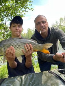 Common Carp