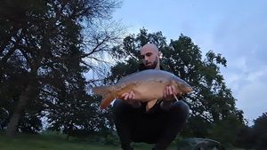 Mirror Carp
