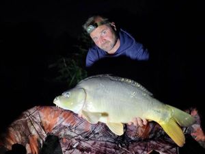 Mirror Carp