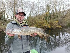 Northern Pike