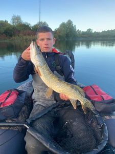 Northern Pike