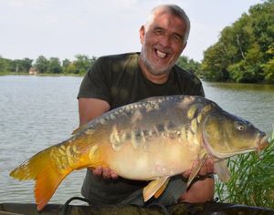 Mirror Carp
