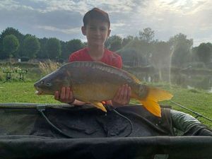 Mirror Carp
