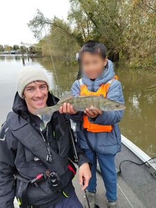 Zander
