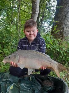 Mirror Carp