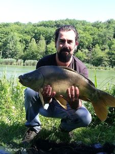 Crucian Carp