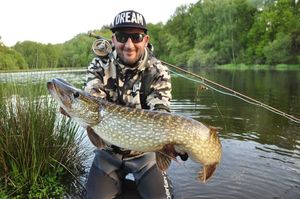 Northern Pike