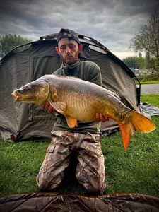 Mirror Carp