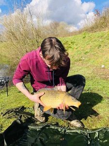 Common Carp