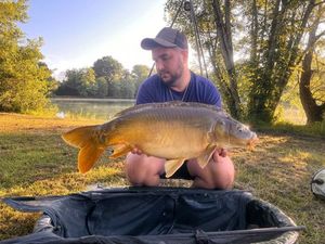 Mirror Carp