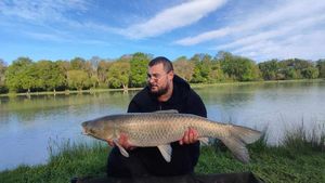 Grass Carp