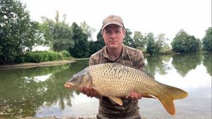 Common Carp
