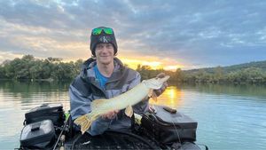 Northern Pike