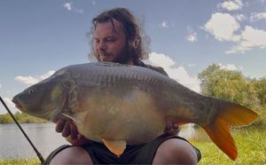Common Carp