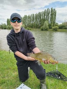 Tench