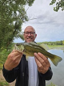 Largemouth Bass