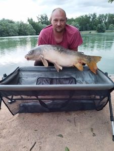 Mirror Carp