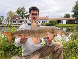 Barbel