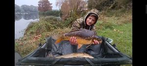 Mirror Carp