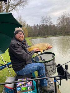 Common Carp